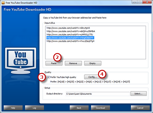 Paste YouTube Video URLs & Choose Download Settings